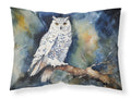 Snowy Owl Night Sky Watercolor Standard Pillowcase Lightweight Super Soft Easy Care Decorative Artwork Pillowcase, Standard