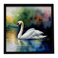 White Swan Swimming Calm Water Watercolor Framed Metal Print Bathroom, Kitchen, Office, Home Decor Wall Art Ready to Hang, Square, 8X8