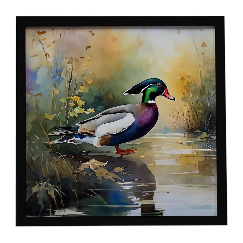 Wood Duck Swimming Woodland Watercolor Framed Metal Print Bathroom, Kitchen, Office, Home Decor Wall Art Ready to Hang, Square, 8X8