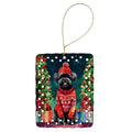 Affenpinscher Christmas Porcelain Ornament Christmas Tree Hanging Decorations for Home Christmas Holiday, Rectangle, Gift, Multicolor