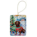 American Water Spaniel Christmas Porcelain Ornament Christmas Tree Hanging Decorations for Home Christmas Holiday, Rectangle, Gift, Multicolor