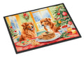 Nova Scotia Duck Toller Christmas Cookies Doormat Indoor Outdoor 18H X 27W Front Door Mat Rugs for Entryway, Non Slip Washable