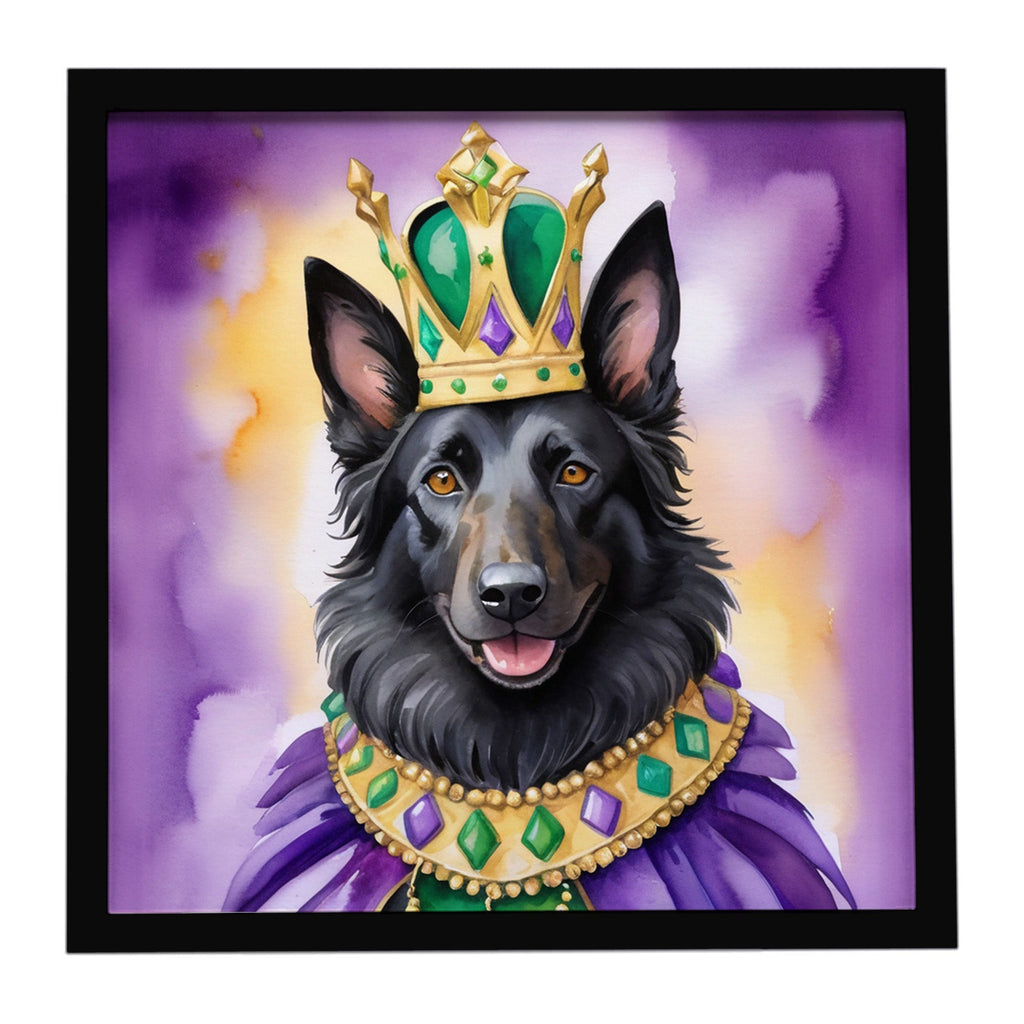 Belgian Sheepdog King of Mardi Gras Framed Metal Print Bathroom, Kitchen, Office, Home Decor Wall Art Ready to Hang, Square, 8X8