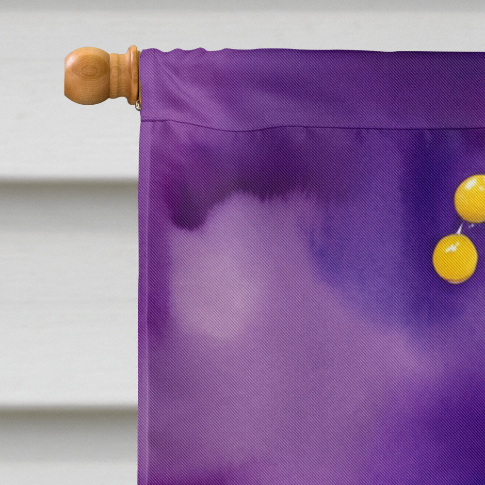 German Shorthaired Pointer King of Mardi Gras House Flag 28x40 Porch Sleeve Pole Decorative Outside Yard Banner Artwork Wall Hanging, Polyester
