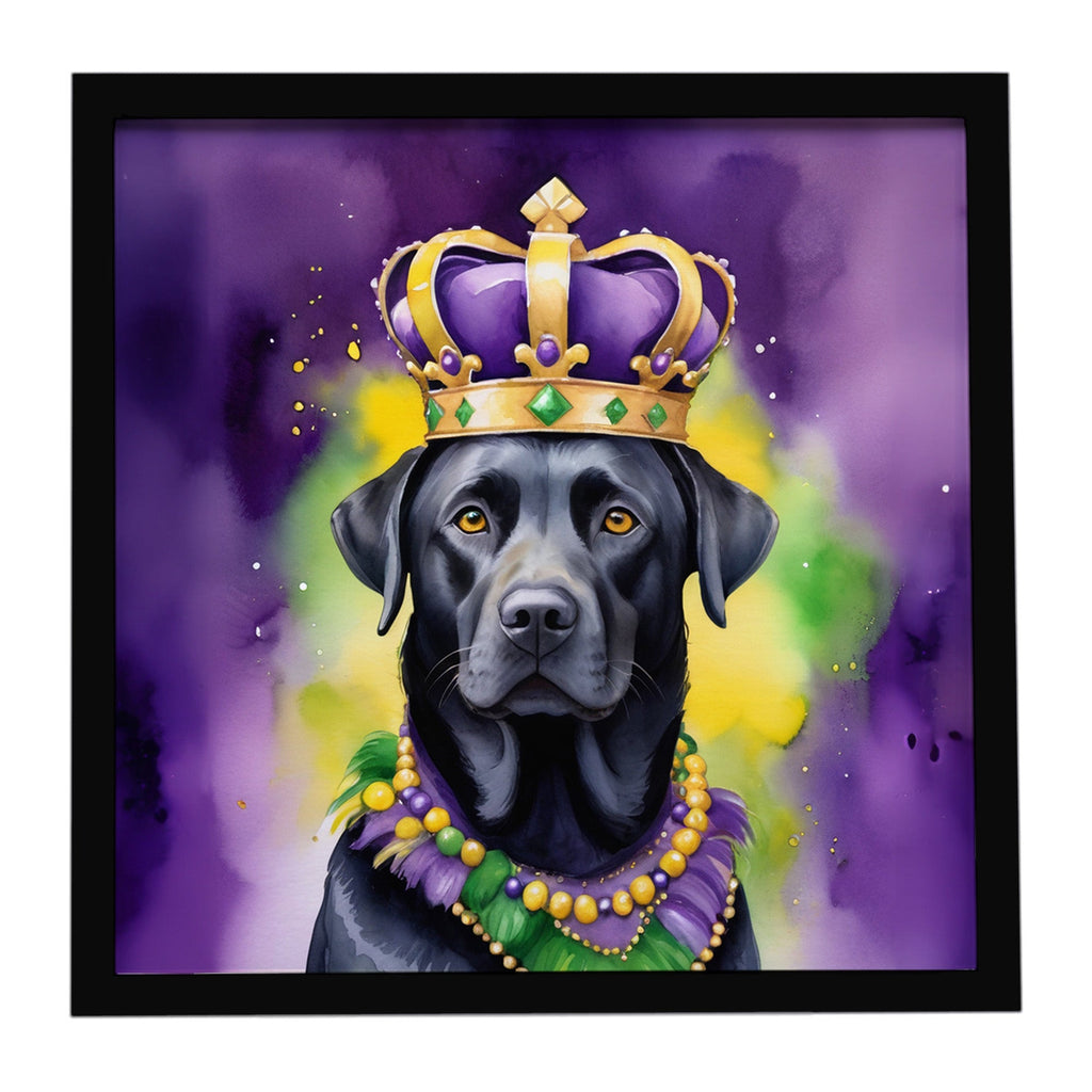 Labrador Retriever King of Mardi Gras Framed Metal Print Bathroom, Kitchen, Office, Home Decor Wall Art Ready to Hang, Square, 8X8