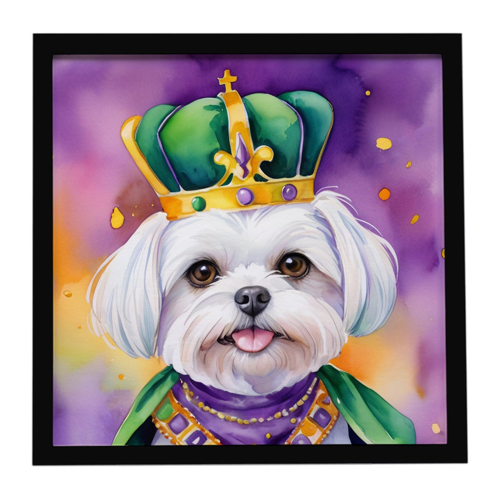 Maltese King of Mardi Gras Framed Metal Print Bathroom, Kitchen, Office, Home Decor Wall Art Ready to Hang, Square, 8X8