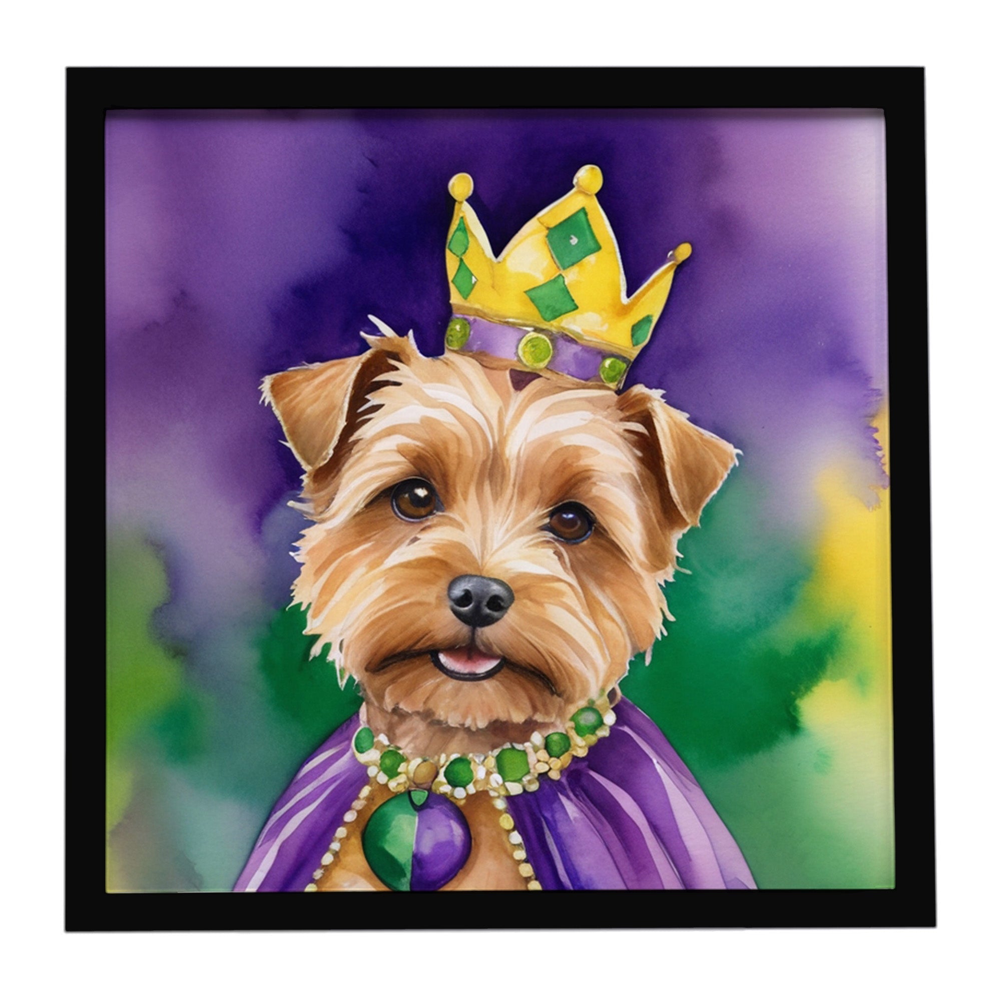 Norfolk Terrier King of Mardi Gras Framed Metal Print Bathroom, Kitchen, Office, Home Decor Wall Art Ready to Hang, Square, 8X8