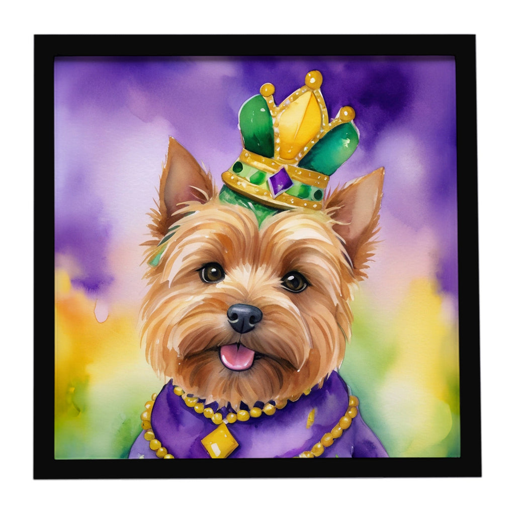 Norwich Terrier King of Mardi Gras Framed Metal Print Bathroom, Kitchen, Office, Home Decor Wall Art Ready to Hang, Square, 8X8