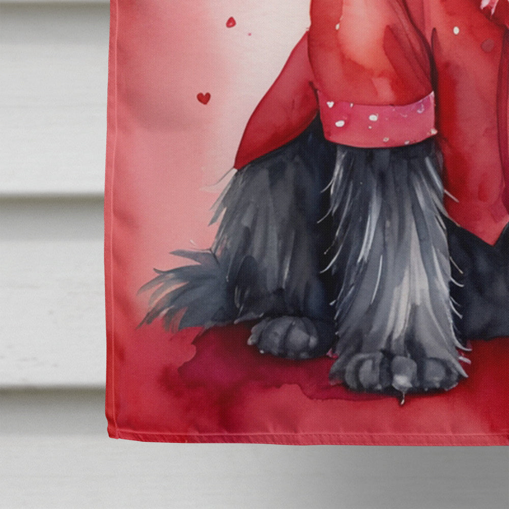 Affenpinscher My Valentine House Flag 28x40 Porch Sleeve Pole Decorative Outside Yard Banner Artwork Wall Hanging, Polyester