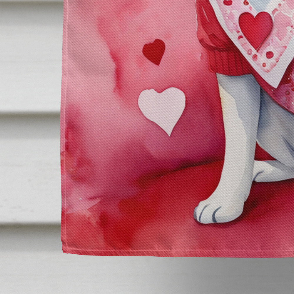 Akita My Valentine House Flag 28x40 Porch Sleeve Pole Decorative Outside Yard Banner Artwork Wall Hanging, Polyester