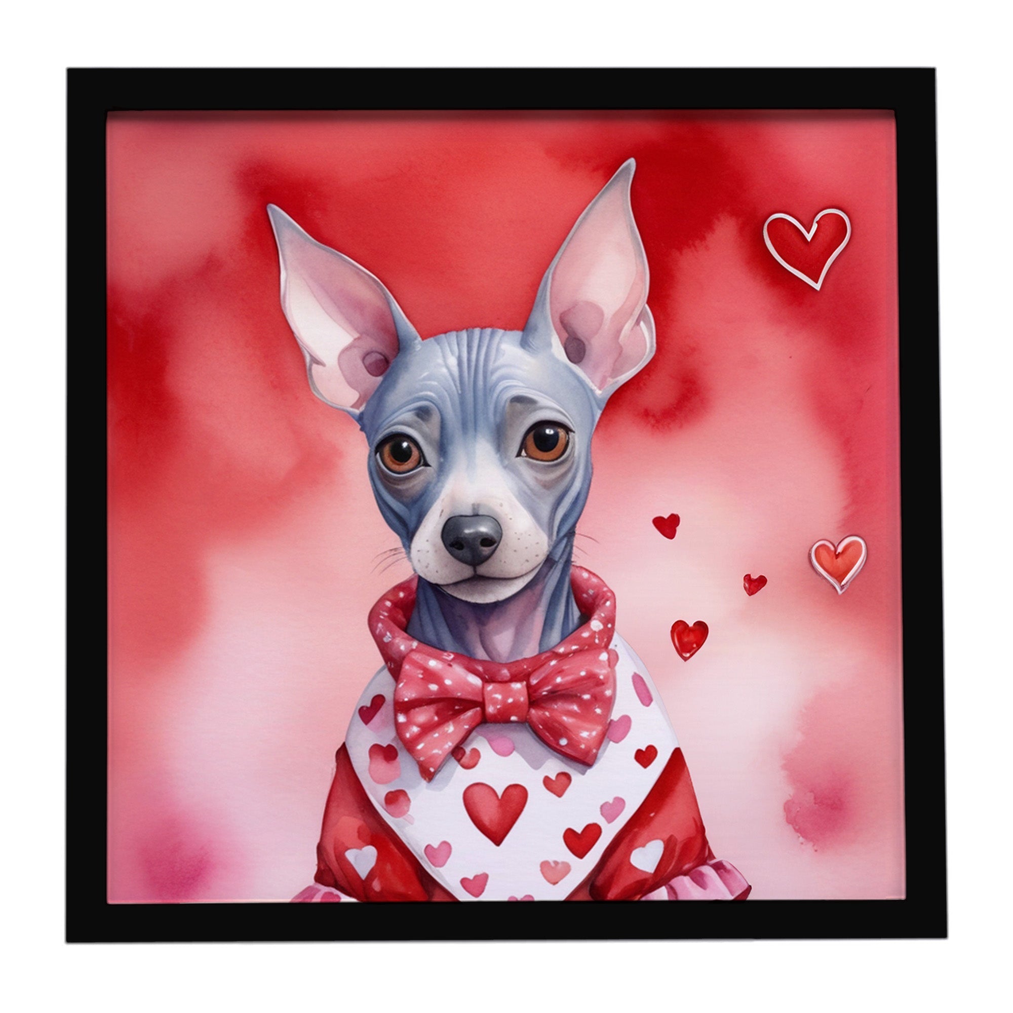 American Hairless Terrier My Valentine Framed Metal Print Bathroom, Kitchen, Office, Home Decor Wall Art Ready to Hang, Square, 8X8