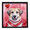 Anatolian Shepherd Dog My Valentine Framed Metal Print Bathroom, Kitchen, Office, Home Decor Wall Art Ready to Hang, Square, 8X8