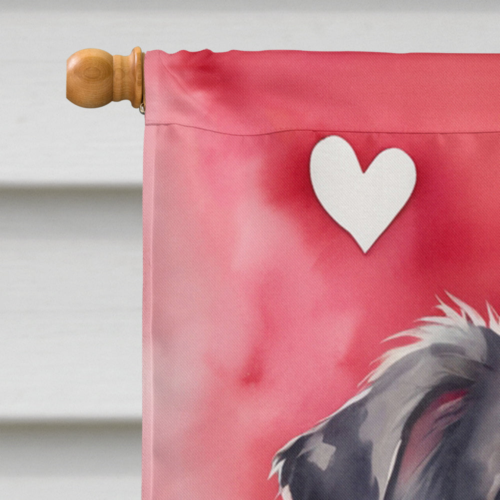 Australian Shepherd My Valentine House Flag 28x40 Porch Sleeve Pole Decorative Outside Yard Banner Artwork Wall Hanging, Polyester