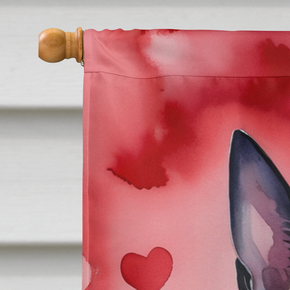 Belgian Malinois My Valentine House Flag 28x40 Porch Sleeve Pole Decorative Outside Yard Banner Artwork Wall Hanging, Polyester
