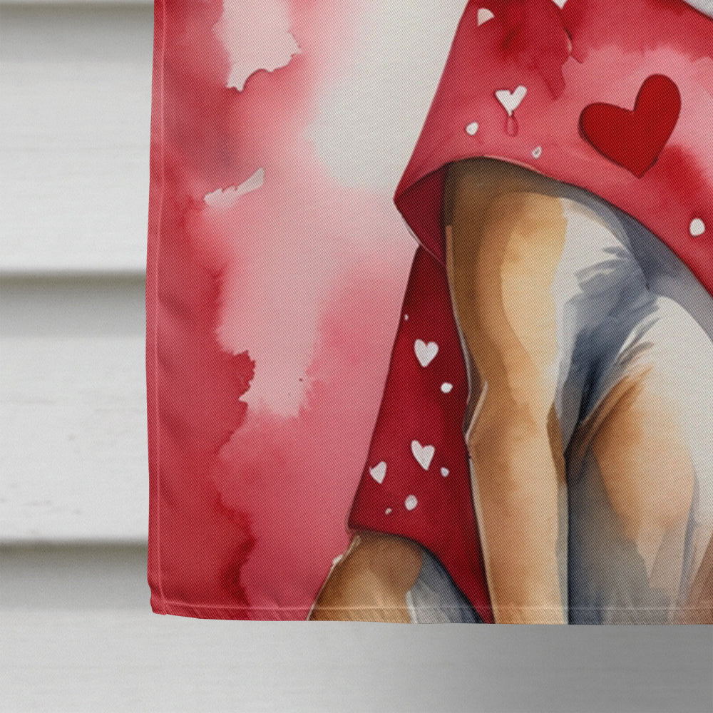 Belgian Malinois My Valentine House Flag 28x40 Porch Sleeve Pole Decorative Outside Yard Banner Artwork Wall Hanging, Polyester