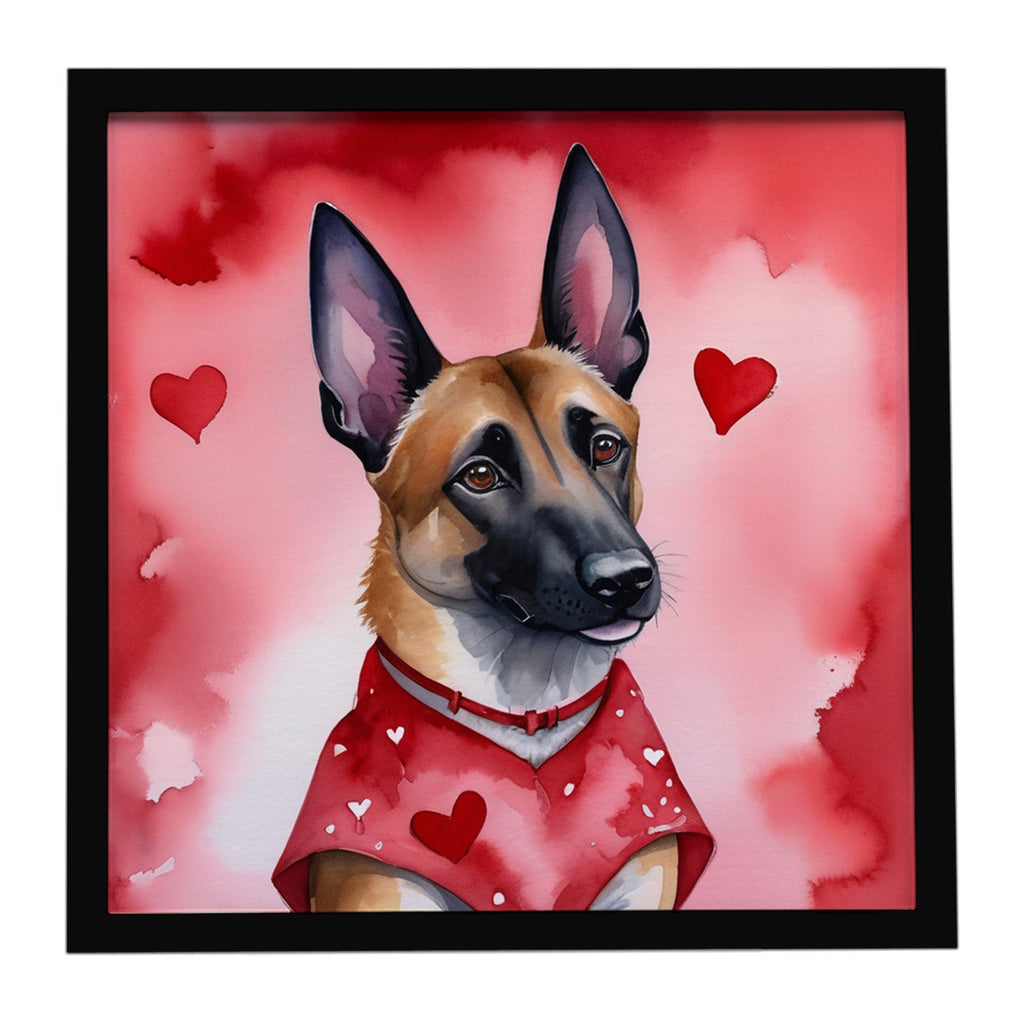 Belgian Malinois My Valentine Framed Metal Print Bathroom, Kitchen, Office, Home Decor Wall Art Ready to Hang, Square, 8X8