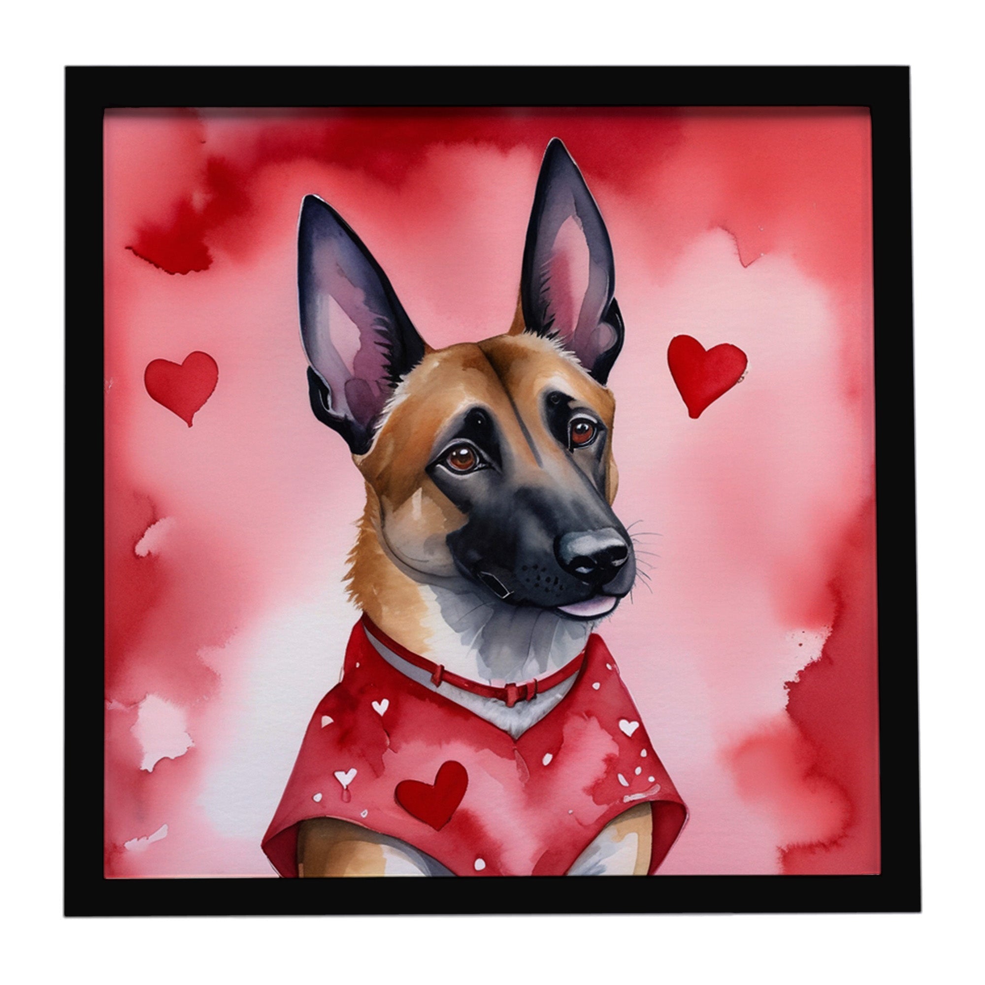 Belgian Malinois My Valentine Framed Metal Print Bathroom, Kitchen, Office, Home Decor Wall Art Ready to Hang, Square, 8X8