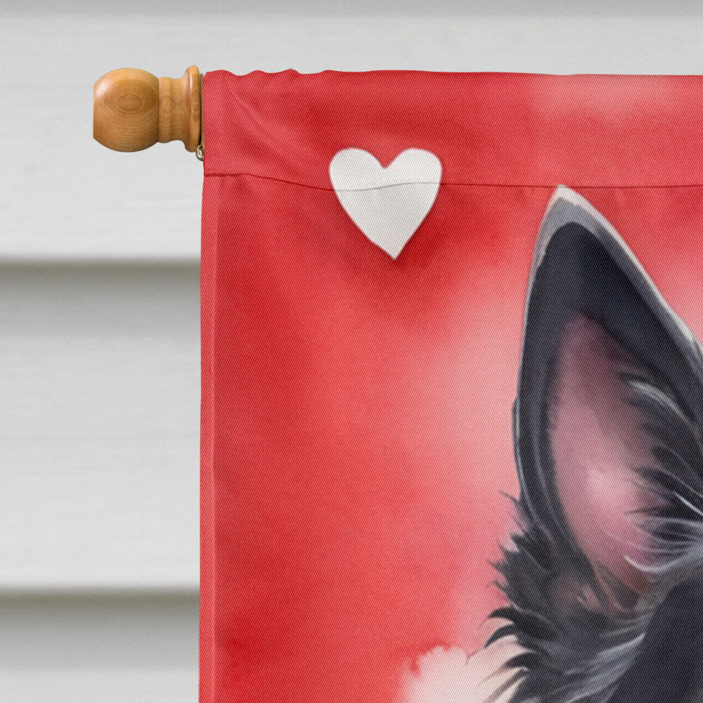 Belgian Sheepdog My Valentine House Flag 28x40 Porch Sleeve Pole Decorative Outside Yard Banner Artwork Wall Hanging, Polyester
