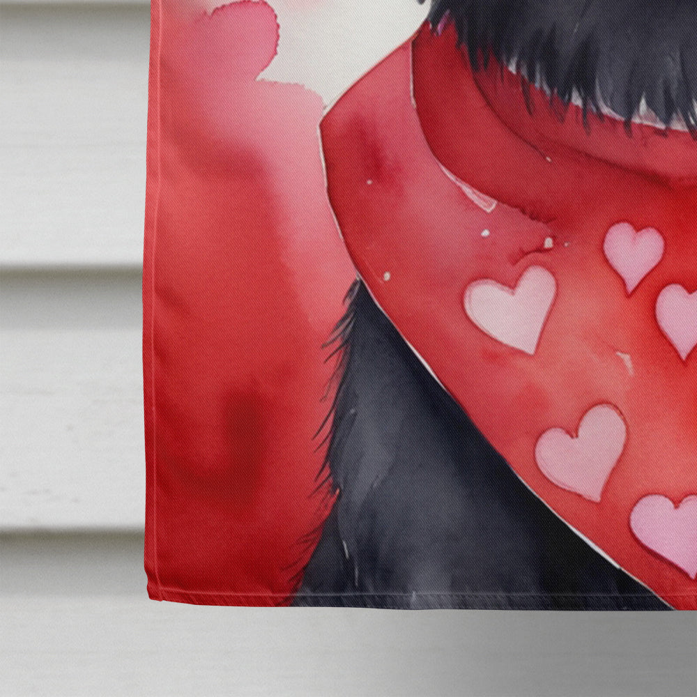 Belgian Sheepdog My Valentine House Flag 28x40 Porch Sleeve Pole Decorative Outside Yard Banner Artwork Wall Hanging, Polyester