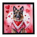 Belgian Tervuren My Valentine Framed Metal Print Bathroom, Kitchen, Office, Home Decor Wall Art Ready to Hang, Square, 8X8