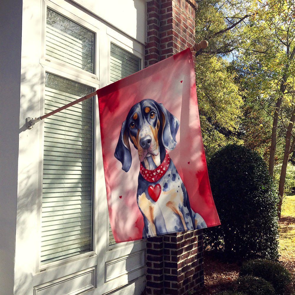 Bluetick Coonhound My Valentine House Flag 28x40 Porch Sleeve Pole Decorative Outside Yard Banner Artwork Wall Hanging, Polyester