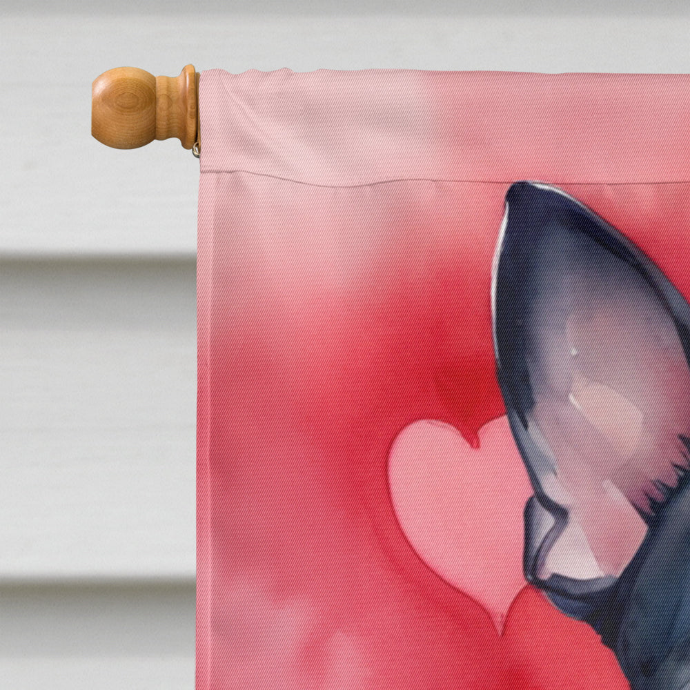 Boston Terrier My Valentine House Flag 28x40 Porch Sleeve Pole Decorative Outside Yard Banner Artwork Wall Hanging, Polyester