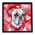 Boxer My Valentine Framed Metal Print Bathroom, Kitchen, Office, Home Decor Wall Art Ready to Hang, Square, 8X8