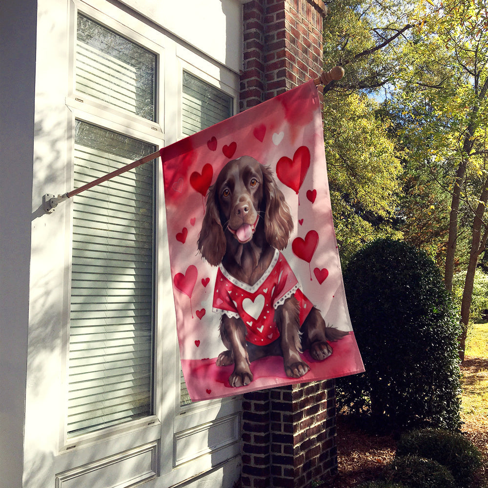 Boykin Spaniel My Valentine House Flag 28x40 Porch Sleeve Pole Decorative Outside Yard Banner Artwork Wall Hanging, Polyester