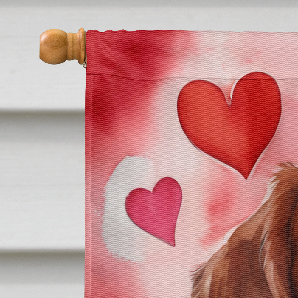 Brittany Spaniel My Valentine House Flag 28x40 Porch Sleeve Pole Decorative Outside Yard Banner Artwork Wall Hanging, Polyester
