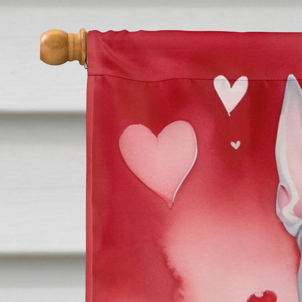 Bull Terrier My Valentine House Flag 28x40 Porch Sleeve Pole Decorative Outside Yard Banner Artwork Wall Hanging, Polyester