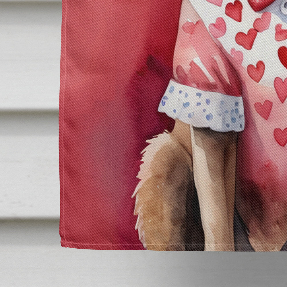 Chesapeake Bay Retriever My Valentine House Flag 28x40 Porch Sleeve Pole Decorative Outside Yard Banner Artwork Wall Hanging, Polyester