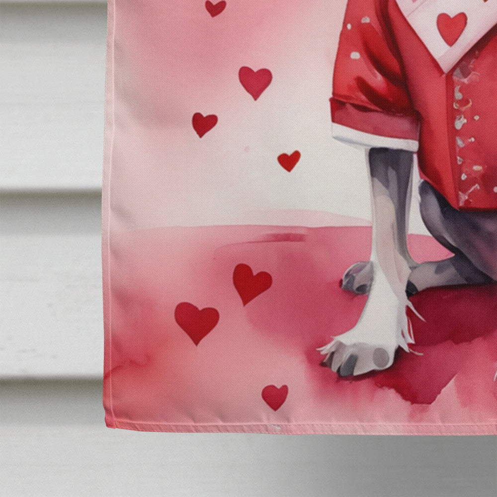 Chinese Crested My Valentine House Flag 28x40 Porch Sleeve Pole Decorative Outside Yard Banner Artwork Wall Hanging, Polyester