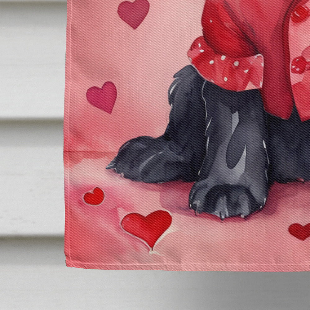 Cocker Spaniel My Valentine House Flag 28x40 Porch Sleeve Pole Decorative Outside Yard Banner Artwork Wall Hanging, Polyester