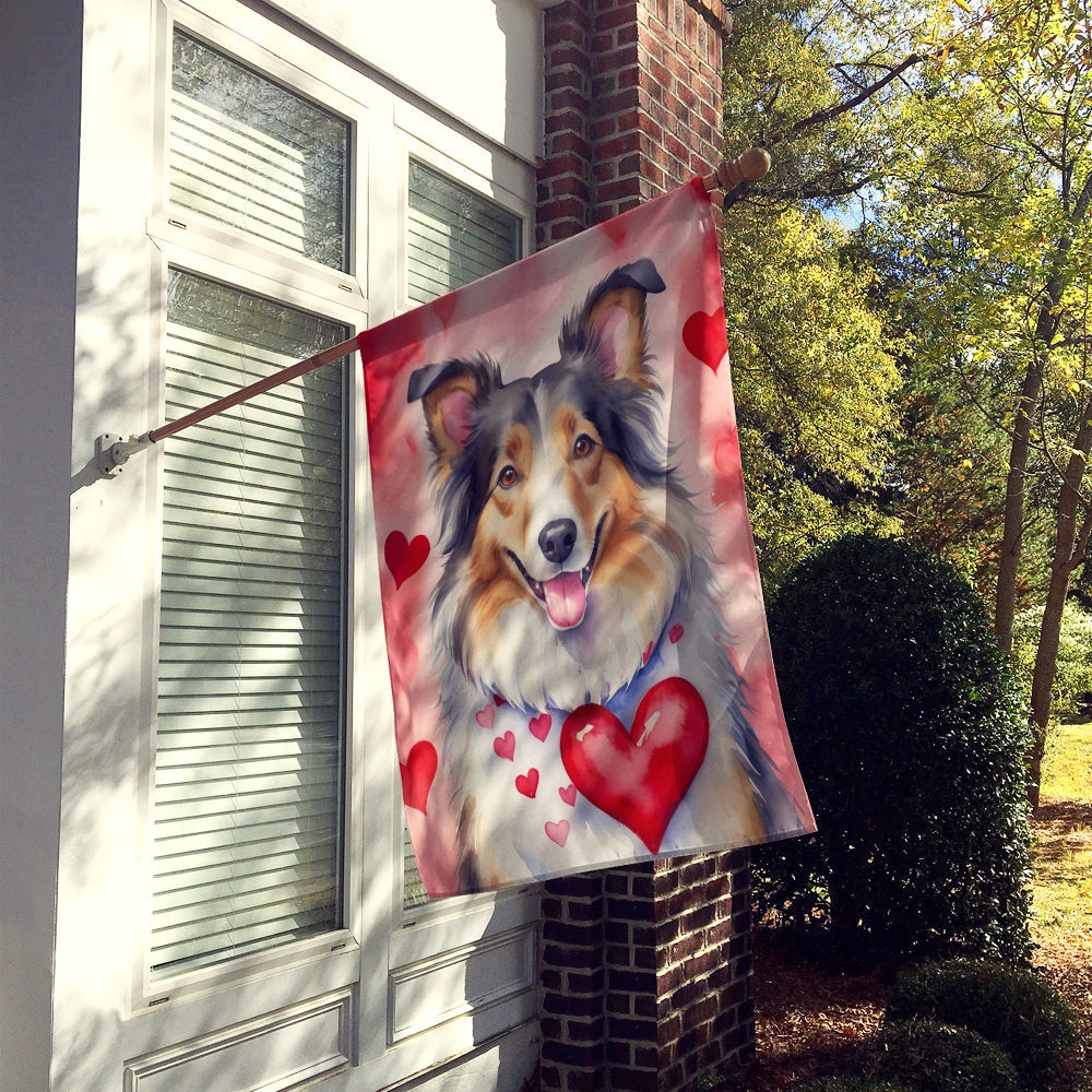 Collie My Valentine House Flag 28x40 Porch Sleeve Pole Decorative Outside Yard Banner Artwork Wall Hanging, Polyester