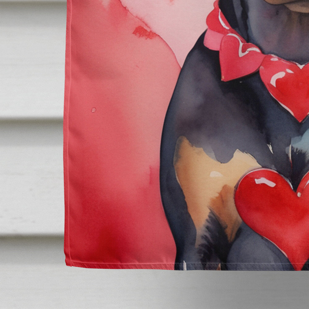 Doberman Pinscher My Valentine House Flag 28x40 Porch Sleeve Pole Decorative Outside Yard Banner Artwork Wall Hanging, Polyester
