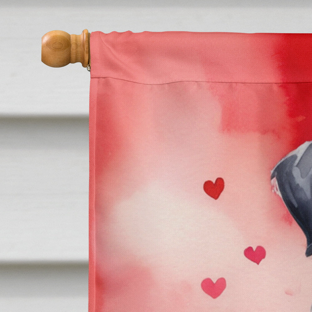 Giant Schnauzer My Valentine House Flag 28x40 Porch Sleeve Pole Decorative Outside Yard Banner Artwork Wall Hanging, Polyester