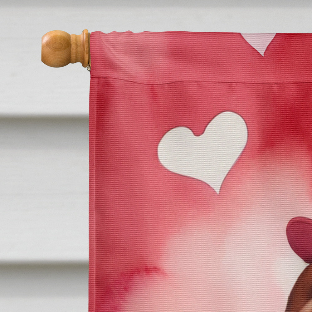 Irish Setter My Valentine House Flag 28x40 Porch Sleeve Pole Decorative Outside Yard Banner Artwork Wall Hanging, Polyester