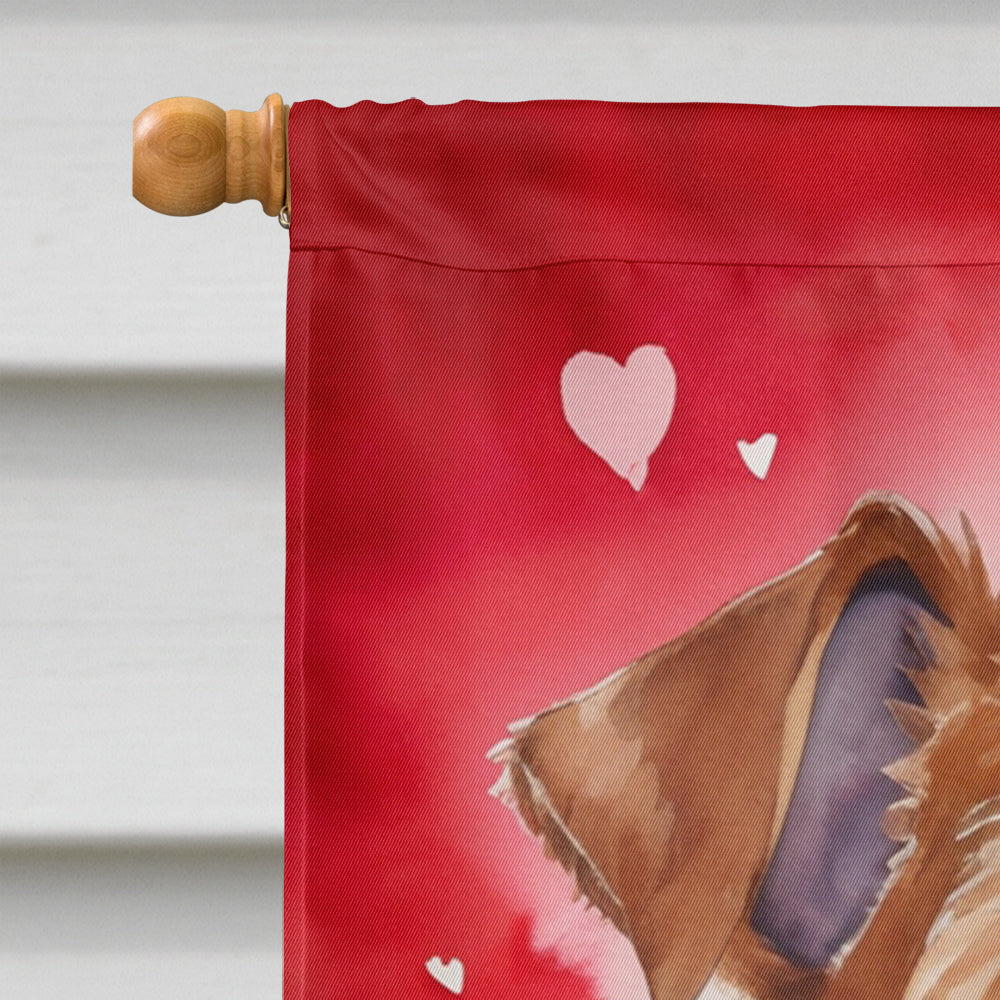Irish Terrier My Valentine House Flag 28x40 Porch Sleeve Pole Decorative Outside Yard Banner Artwork Wall Hanging, Polyester