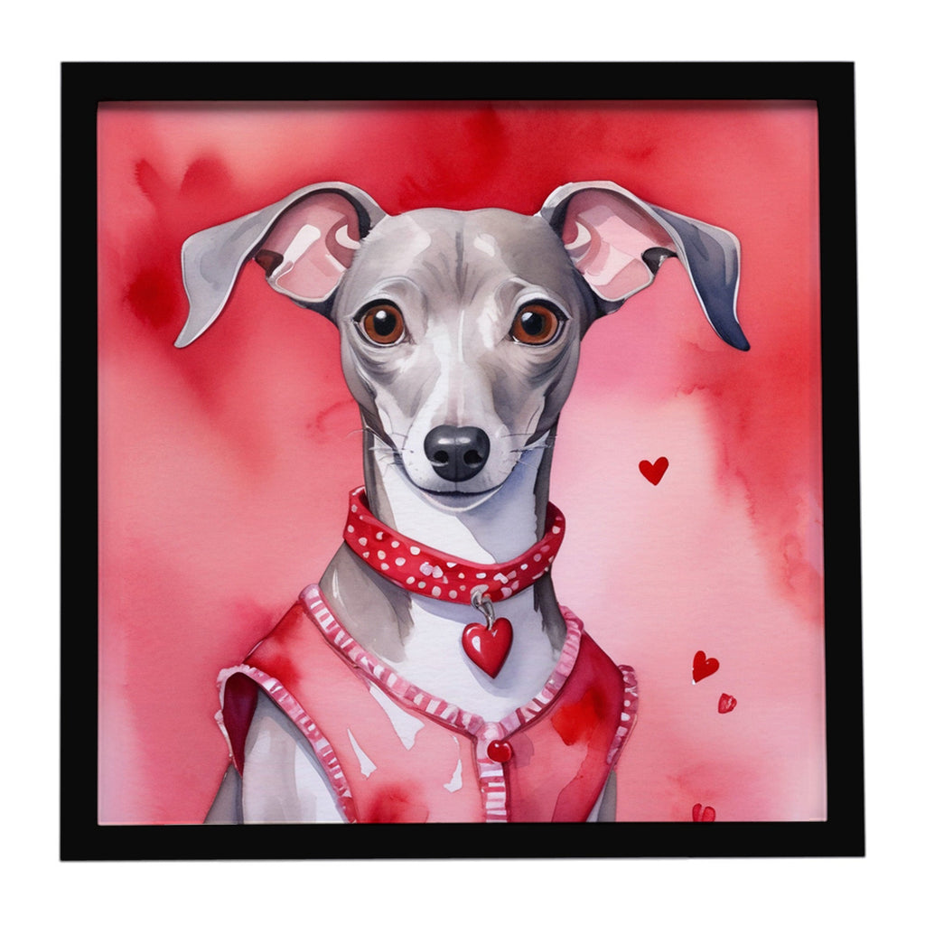 Italian Greyhound My Valentine Framed Metal Print Bathroom, Kitchen, Office, Home Decor Wall Art Ready to Hang, Square, 8X8