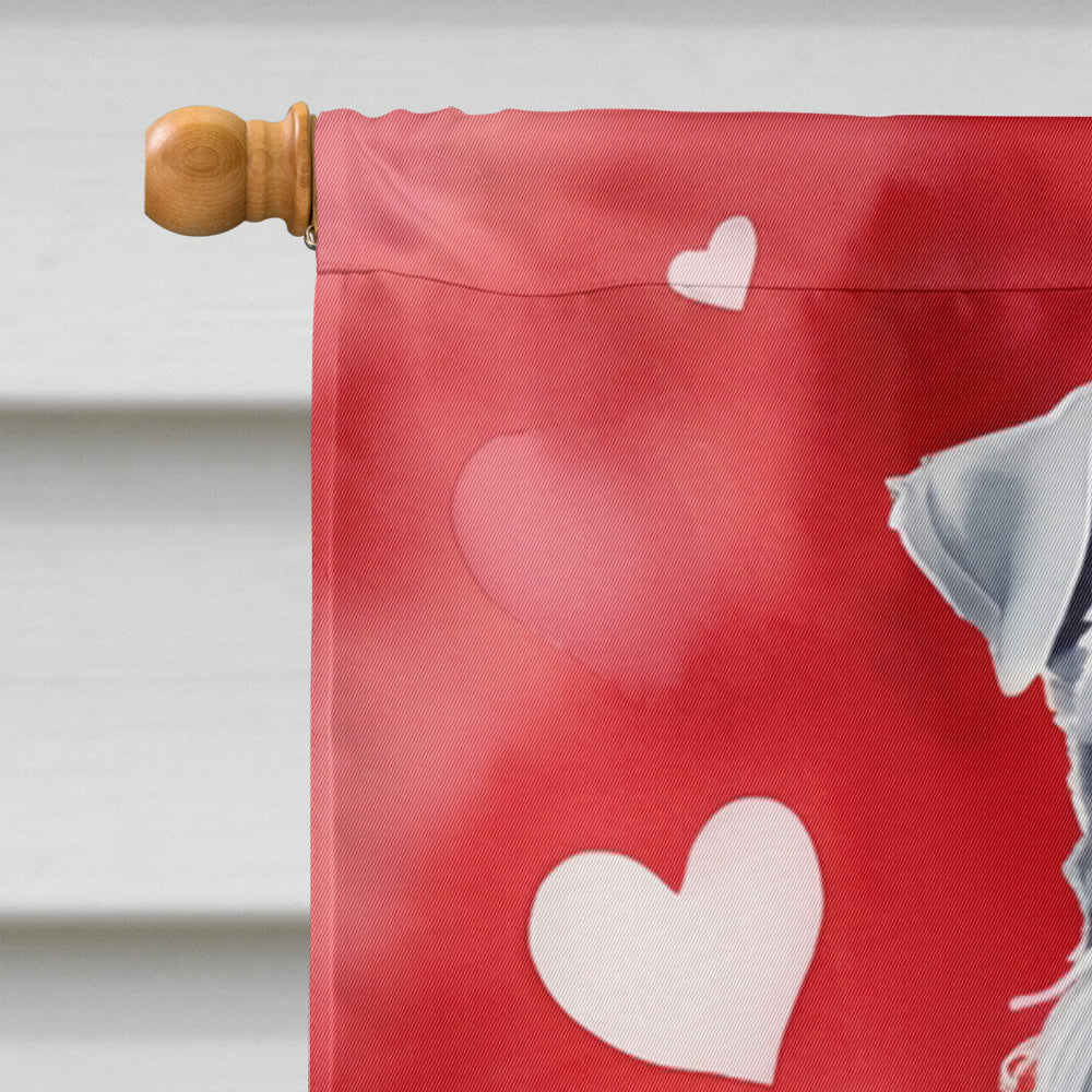 Kerry Blue Terrier My Valentine House Flag 28x40 Porch Sleeve Pole Decorative Outside Yard Banner Artwork Wall Hanging, Polyester