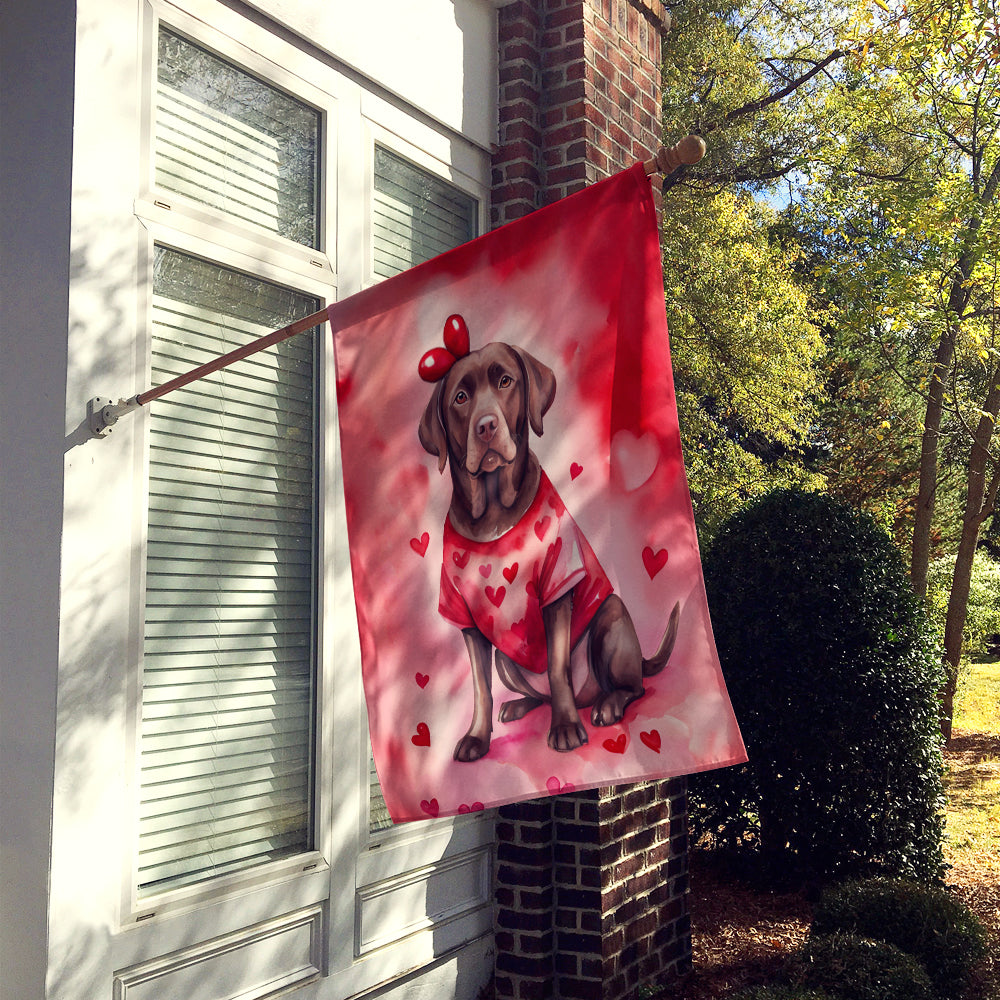 Chocolate Labrador Retriever My Valentine House Flag 28x40 Porch Sleeve Pole Decorative Outside Yard Banner Artwork Wall Hanging, Polyester