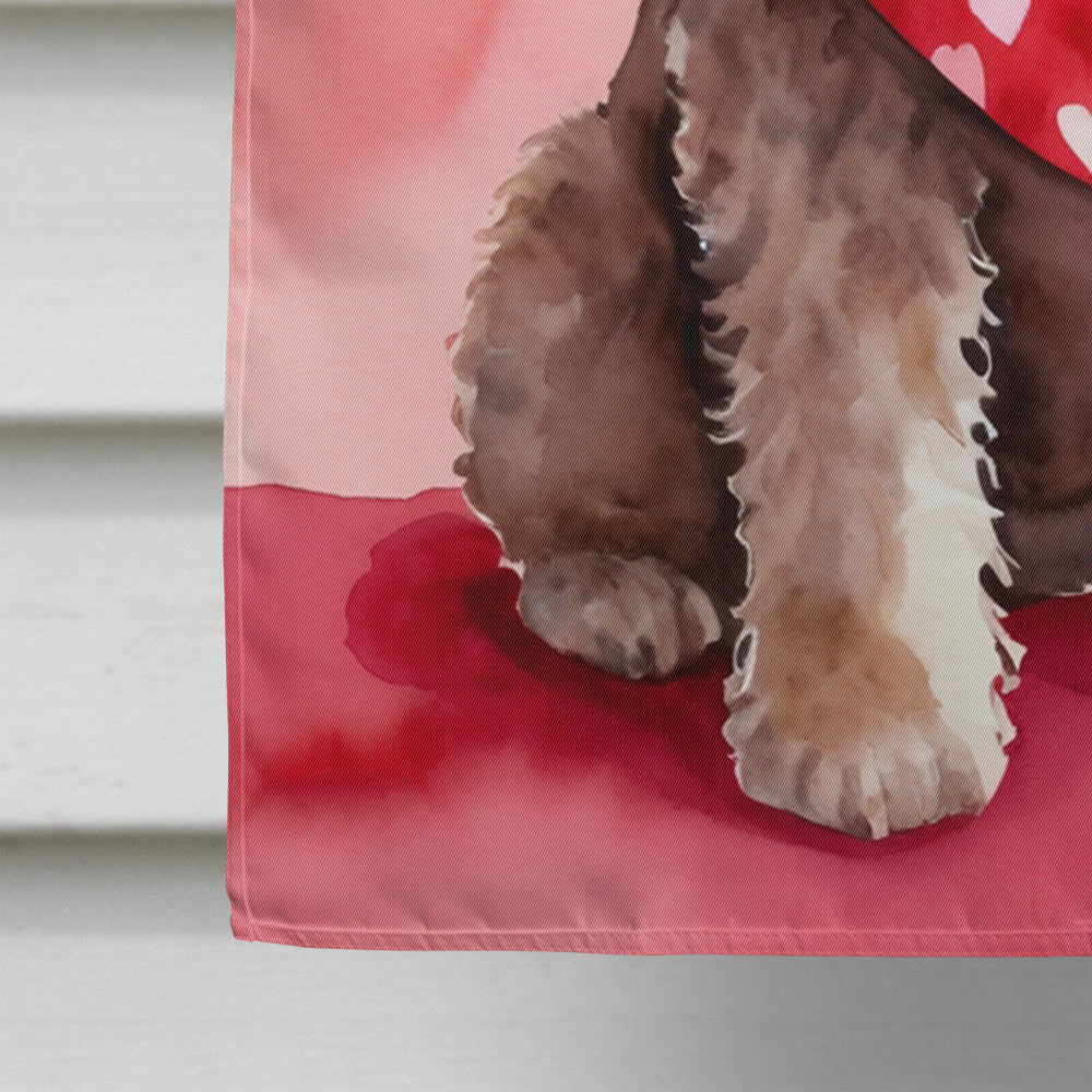 Labradoodle My Valentine House Flag 28x40 Porch Sleeve Pole Decorative Outside Yard Banner Artwork Wall Hanging, Polyester