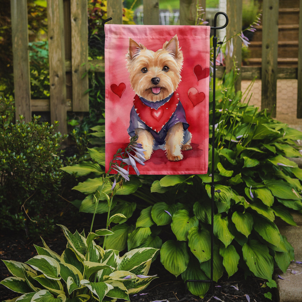 Norwich Terrier My Valentine Garden Flag Mailbox Decorative Yard Banner Outside Patio Artwork for Flower Beds, Garden Size, Multicolor