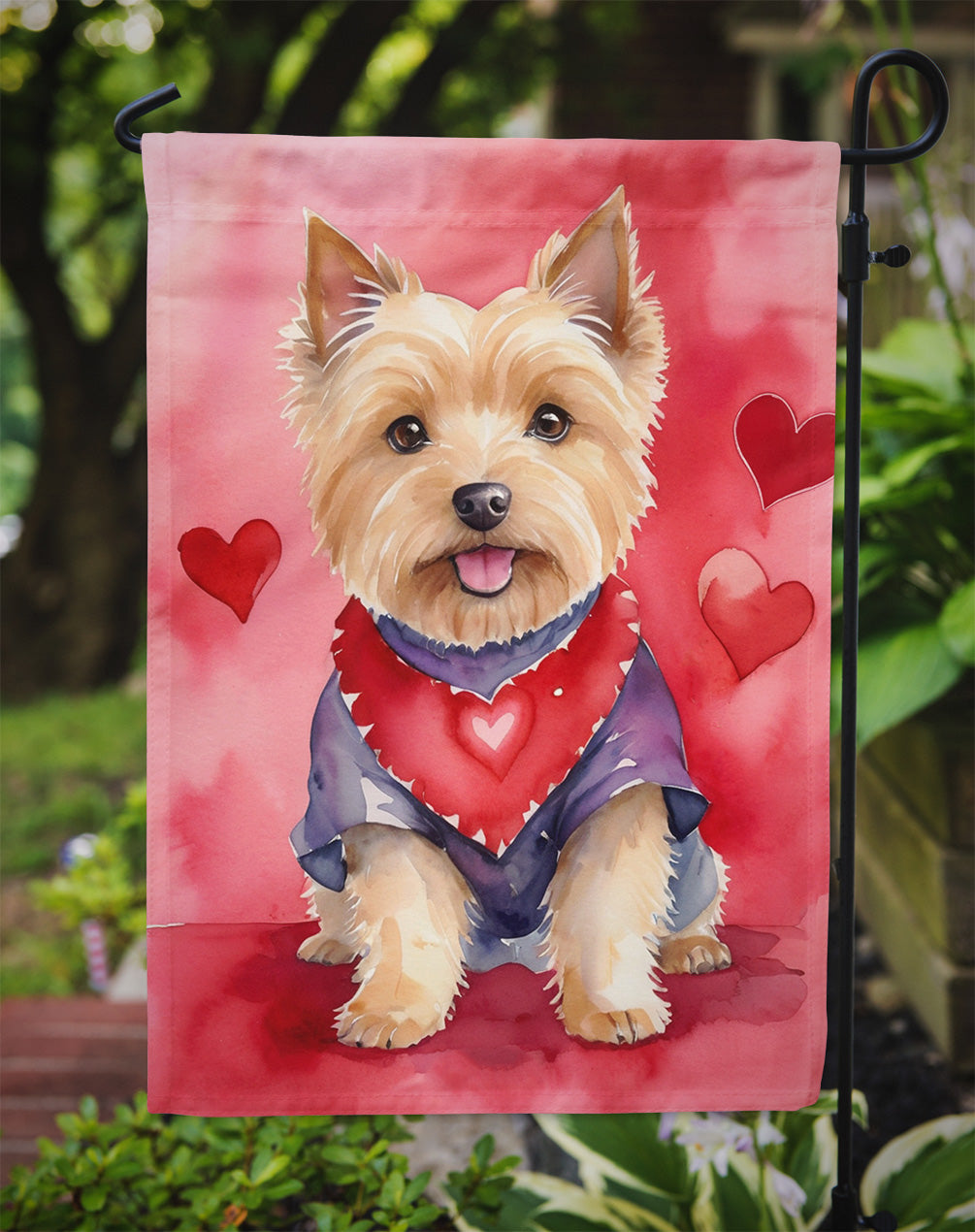 Norwich Terrier My Valentine Garden Flag Mailbox Decorative Yard Banner Outside Patio Artwork for Flower Beds, Garden Size, Multicolor