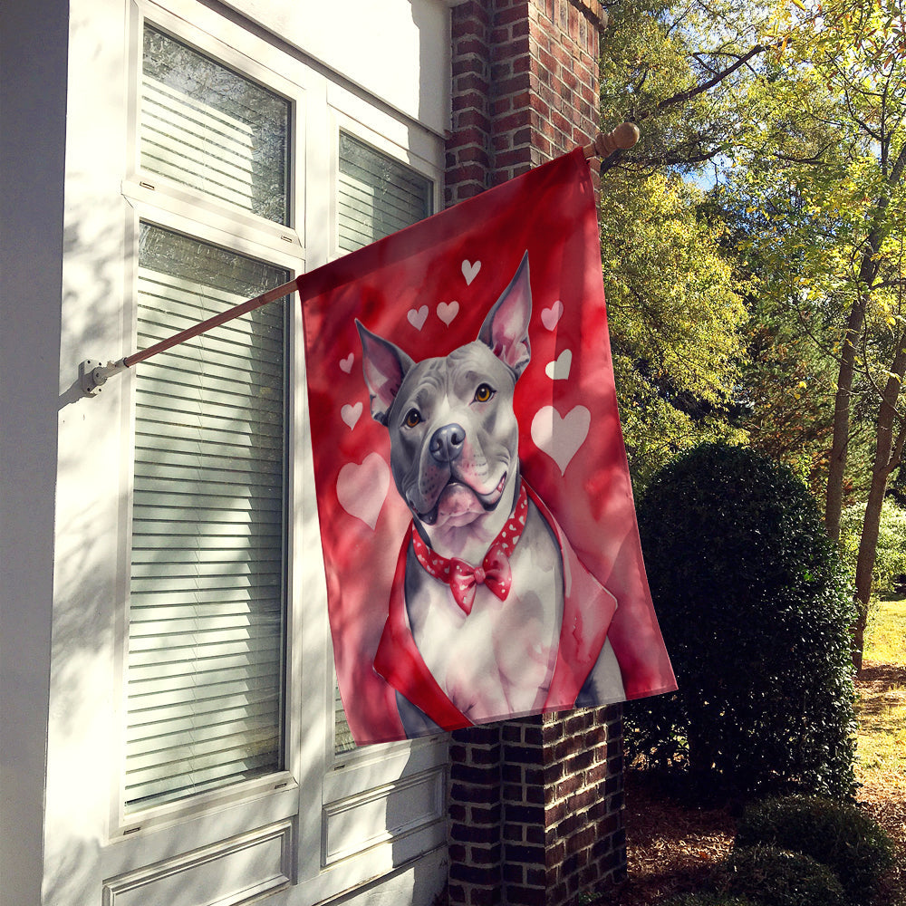 Pit Bull Terrier My Valentine House Flag 28x40 Porch Sleeve Pole Decorative Outside Yard Banner Artwork Wall Hanging, Polyester