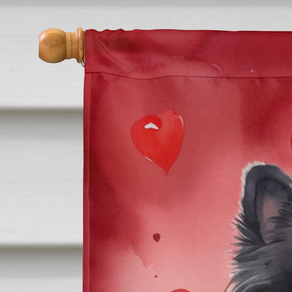 Pomeranian My Valentine House Flag 28x40 Porch Sleeve Pole Decorative Outside Yard Banner Artwork Wall Hanging, Polyester