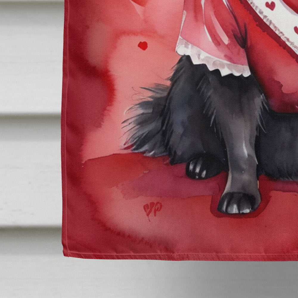 Pomeranian My Valentine House Flag 28x40 Porch Sleeve Pole Decorative Outside Yard Banner Artwork Wall Hanging, Polyester