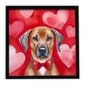 Rhodesian Ridgeback My Valentine Framed Metal Print Bathroom, Kitchen, Office, Home Decor Wall Art Ready to Hang, Square, 8X8