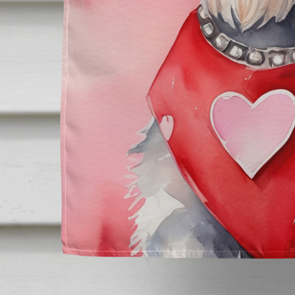 Schnauzer My Valentine House Flag 28x40 Porch Sleeve Pole Decorative Outside Yard Banner Artwork Wall Hanging, Polyester