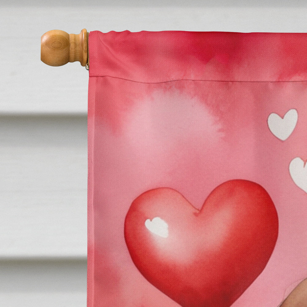 Welsh Springer Spaniel My Valentine House Flag 28x40 Porch Sleeve Pole Decorative Outside Yard Banner Artwork Wall Hanging, Polyester